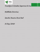 Habilidades Directivas