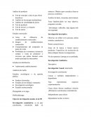 Análisis de producto