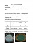 Sesión 2. Características microbiológicas