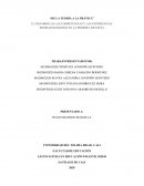 EL DESARROLLO LAS COMPETENCIAS Y LAS EXPERIENCIAS REORGANIZADORAS EN LA PRIMERA INFANCIA