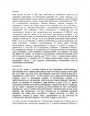 Clase Antimicrobianos naturales