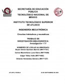 Practica de Control. Circuitos hidráulicos y neumáticos