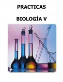 PRACTICAS BIOLOGÍA V