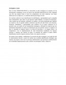 ANALISIS SITUACIONAL DE LA FIRMA MERCEDES-BENZ