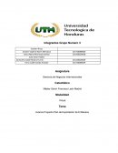 Avance Proyecto Plan de Exportación de El Banano