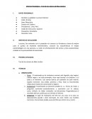 Informe Psicológico - Test de los colores de Max Lüscher