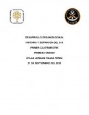 DESARROLLO ORGANIZACIONAL. HISTORIA Y DEFINICION DEL D.O