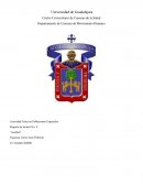 Reporte de lectura No. 8 ¨Goalball¨