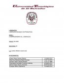 COMPRENDIENDO EL LIDERAZGO