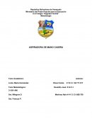 Aspiradora de mano casera