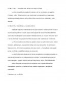 Estructura y funcion del musculo esqueletico