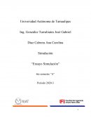 Nuevas fronteras de la simulación