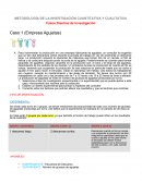 Casos Diseños de Investigación Caso 1 (Empresa Agujetas)