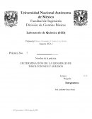 Practica de quimica DETERMINACIÓN DE LA DENSIDAD DE DISOLUCIONES Y SÓLIDOS