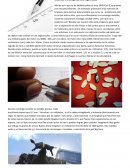 Midiendo al enemigo con una regla escolar