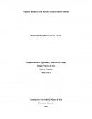 Propuesta de interacción: Plan de acción en nuestro entorno