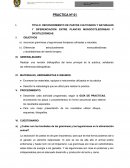 HERBARIO AGROSTOLÓGICO