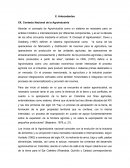 Contexto Nacional de la Agroindustria