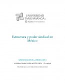 Estructura y poder sindical en México