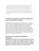Sinopsis del mercado del poliestireno expandido