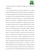 MARCO CONCEPTUAL DE IMPACTO AMBIENTAL EN TEPEXI DE RODRÌGUEZ