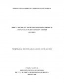 DERECHO CONSTITUCIONAL COMO CIENCIA