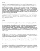 Analisis e Informe de teoria de la funcion y de la tecnica