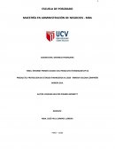 PROYECCION DE ESTADOS FINANCIEROS AL 2020 - MINERA VOLCAN COMPAÑÍA MINERA SAA.