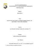 GUÍA DE ESTUDIO PARA EL PRIMER EXAMEN PARCIAL DE ANATOMÍA Y FISIOLOGÍA HUMANAS