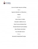 Ingeniería Industrial y sus Dimensiones