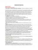 ORGANIZACIÓN INDUSTRIAL