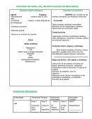 HISTORIA NATURAL INFARTO AGUDO DE MIOCARDIO Y NIVELES DE PREVENCION