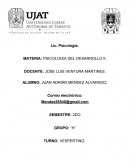 AREAS DE DESARROLLO: SOCIAL, PERSONALIDAD, CICLO OCUPACIONAL