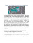 Cual debe ser el tamaño de mi planta de rendimiento