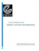 UN DAFO SIN AMENAZAS