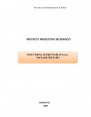 PROYECTO PRODUCTIVO DE SERVICIO