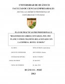 REGISTROS DE LIBROS CONTABLES, PDT, PDT PLAME Y OTROS TRÁMITES RELACIONADO CON LA EMPRESA HOTEL ‘EUROPA’