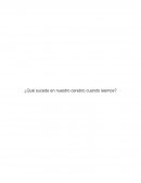 LA LECTURA Y NUESTRO CEREBRO