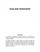 ANÁLISIS FINANCIERO EMPRESA TRICOT