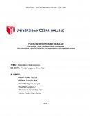 Diagnostico Organizacional