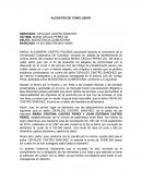 Alegatos de conclusion