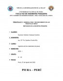 PRÁCTICA N° 1: NOMENCLATURA Y RECONOCIMIENTO DE LAS PRINCIPALES FIBRAS