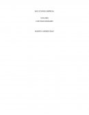 SOLUCIONES EMPRESA ANALISIS COSTURAS ROSARIO