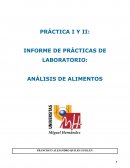 INFORME DE PRÁCTICAS DE LABORATORIO: ANÁLISIS DE ALIMENTOS