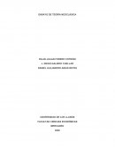 ENSAYO DE TEORÍA NEOCLÁSICA