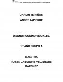 DIAGNOTICOS INDIVIDUALES