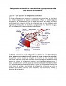 Refrigerantes automotrices características y por que no se debe usar agua en un automóvil