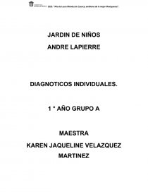 DIAGNOTICOS INDIVIDUALES. Página 1