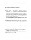 TRABAJO PRACTICO NEW BALANCE SHOES INC