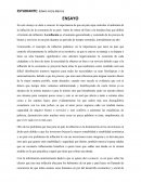 ENSAYO DE COMERCIO INTERNACIONAL